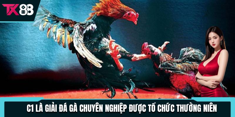 Đá Gà C1 - Giải Đấu Chuyên Nghiệp Thu Hút, Đa Dạng Kèo Cược 2 C1 là giải đá gà chuyên nghiệp được tổ chức thường niên
