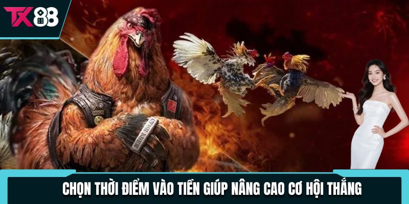 Đá Gà Cựa Sắt Cược Hấp Dẫn Và Bất Ngờ, Thu Thưởng Siêu Khủng 4 Chọn thời điểm vào tiền giúp nâng cao cơ hội thắng