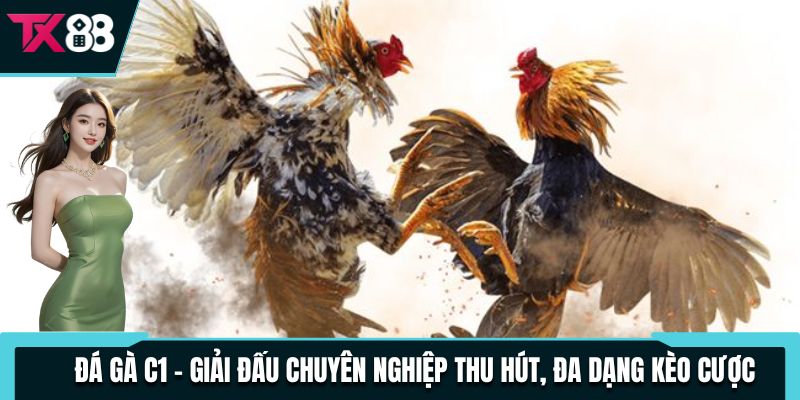 Đá Gà C1 - Giải Đấu Chuyên Nghiệp Thu Hút, Đa Dạng Kèo Cược 1 da ga c1 giai dau chuyen nghiep thu hut da dang keo cuoc
