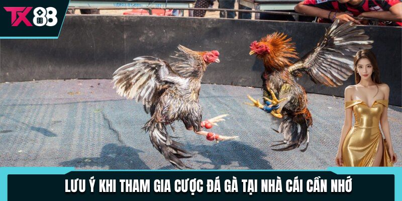 Đá Gà Cựa Dao - Hướng Dẫn Chi Tiết Cách Chơi Mới Nhất 2025 4 Lưu ý khi tham gia cược đá gà tại nhà cái cần nhớ