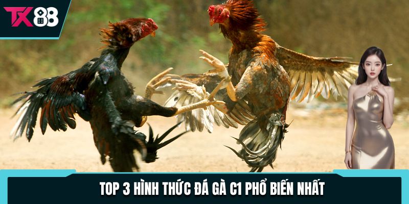 Đá Gà C1 - Giải Đấu Chuyên Nghiệp Thu Hút, Đa Dạng Kèo Cược 3 Top 3 hình thức đá gà C1 phổ biến nhất